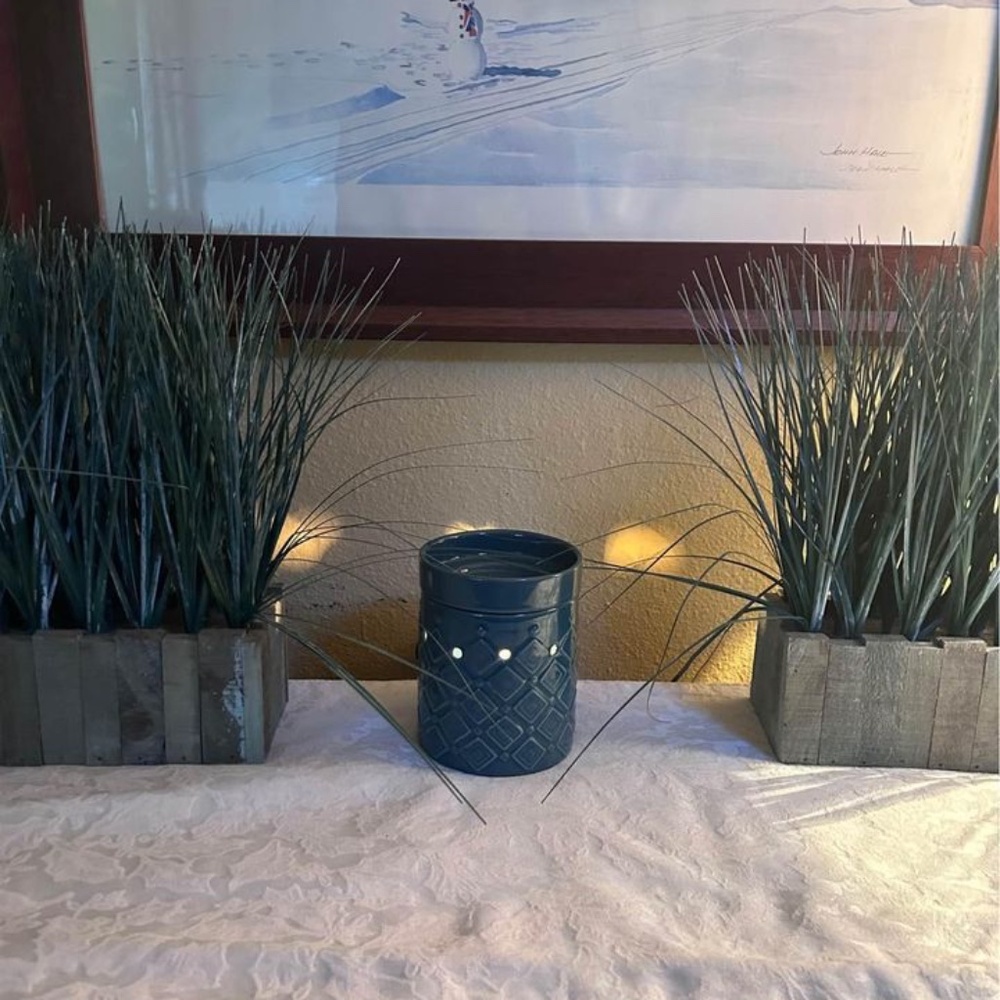 Scentsy- Hydro